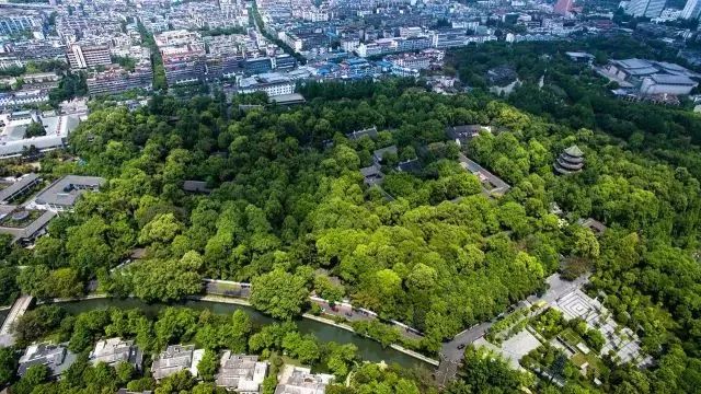 2018年8月 熊猫绿道全面建成服务于市民 新川湿地公园明年建成#成都