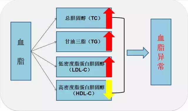 以总胆固醇,低密度脂蛋白胆固醇增高,高密度脂蛋白降低和(或)三酰甘油