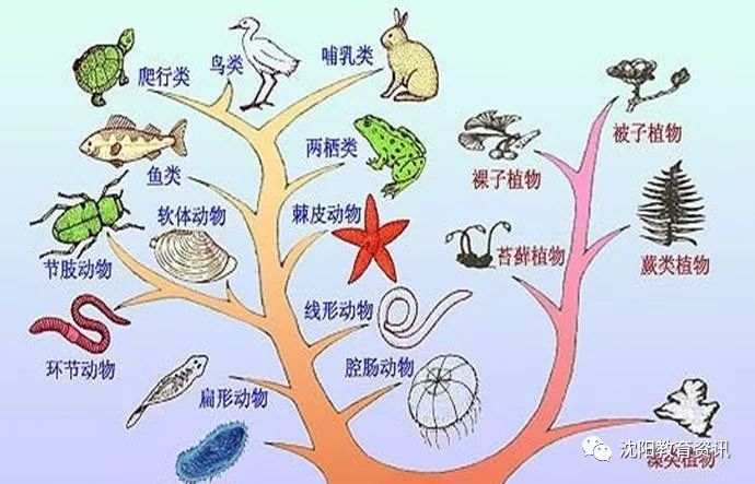 第十六章 生命的起源和生物进化