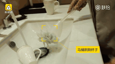 Poor Hygiene At 5 Star Hotels In China Toilet Brush Used To