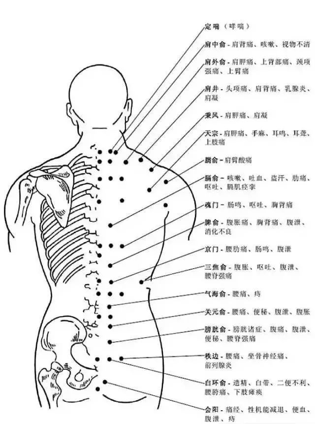 非常完整的人体穴位图与功效图文对照总结