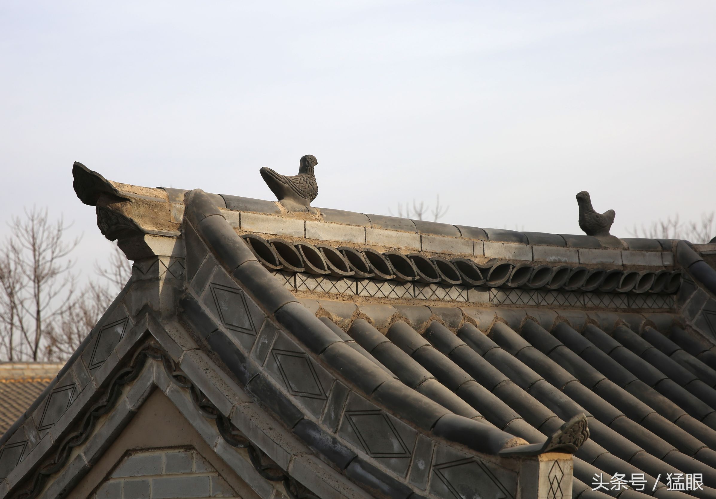 以前建老房讲究多屋脊上要雕对鸽子如今高门大院不在乎那一套