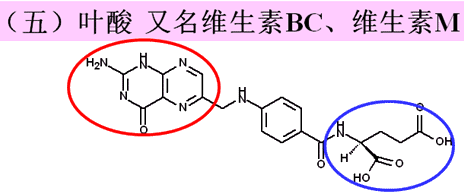 药物化学丨水溶性维生素