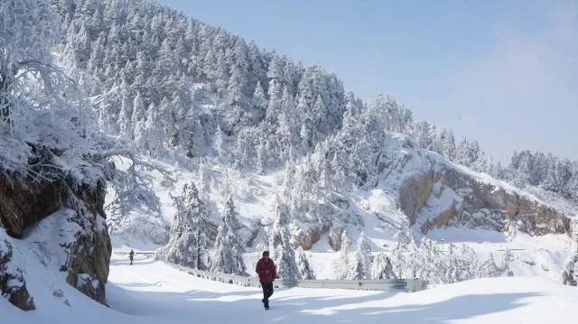 想看浪漫雪景 滑雪?老广不用去东北,不用出国,就去邻近的湖北