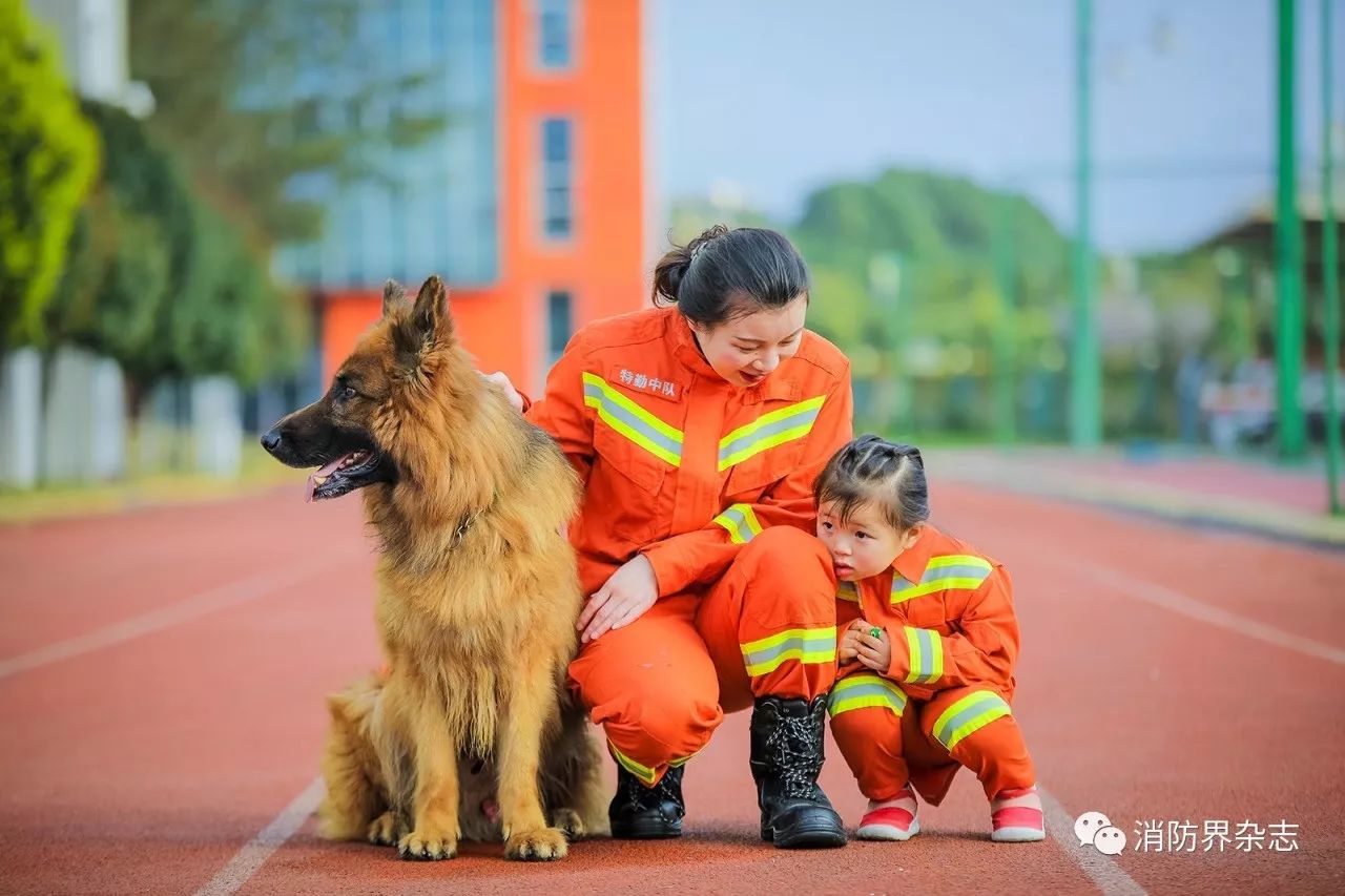 这些网红消防犬你都知道吗