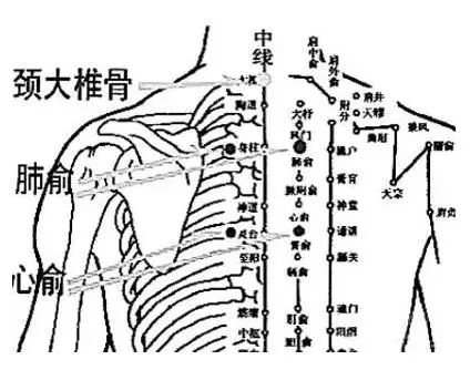 背俞穴