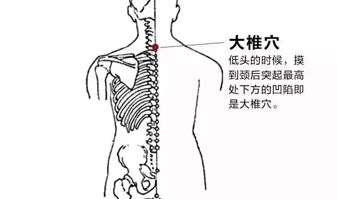 现在学正好用得上