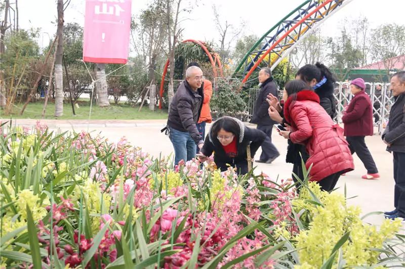 富乐花乡游仙区信义文化进景区暨第二届国际兰花艺术节将于29日在街子