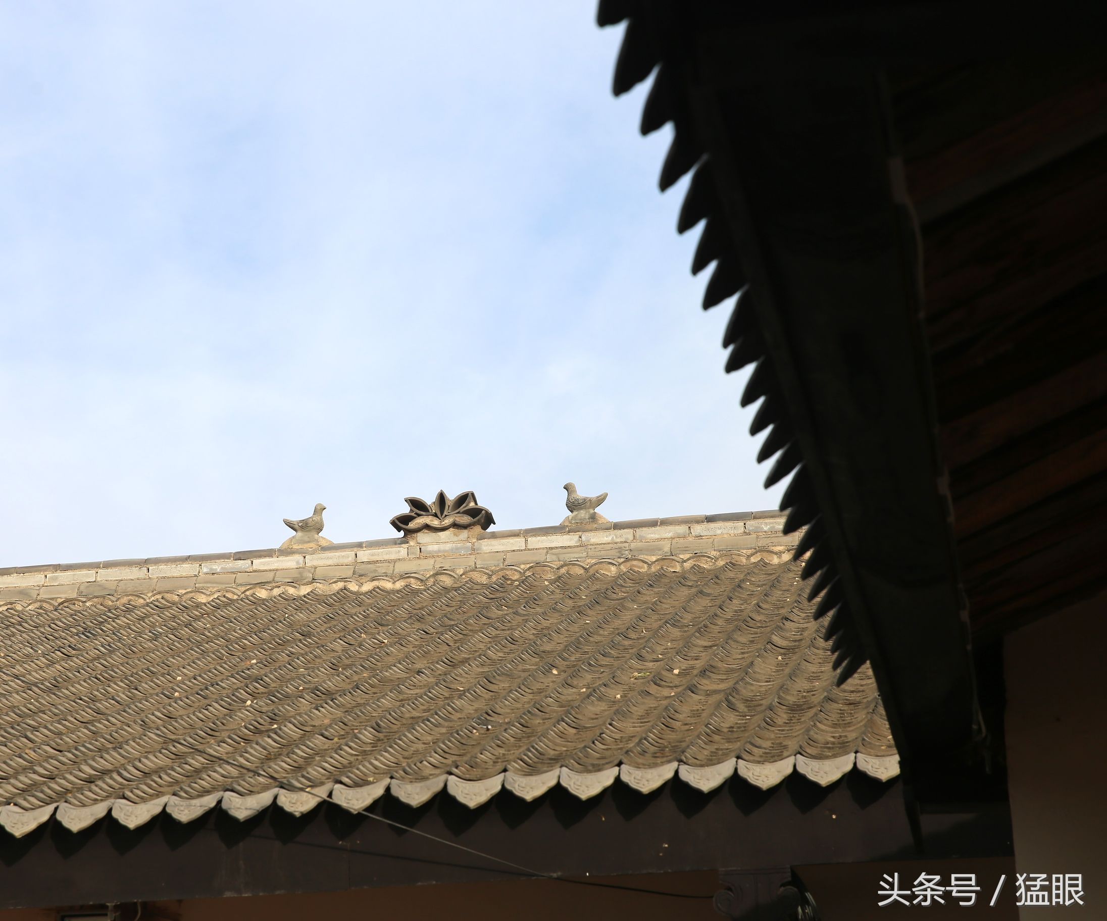 屋脊上,原来,这些鸽子全是雕刻而成,这小编记录一些农村老房子上的
