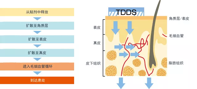 膏药的原理是什么_膏药的原理: 疏通经络的原理(3)