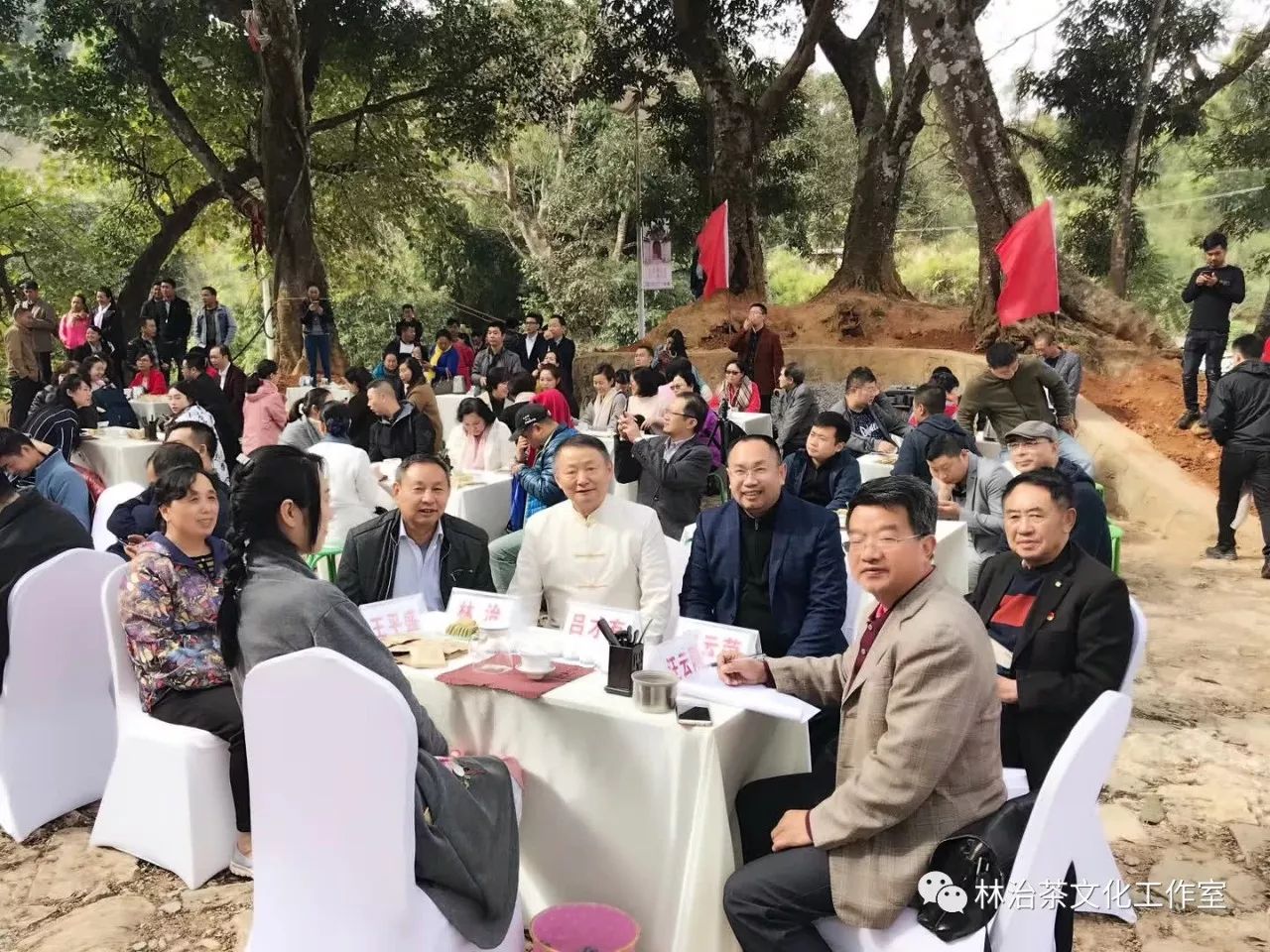 林治老师在《易武观山茶会上的发言》