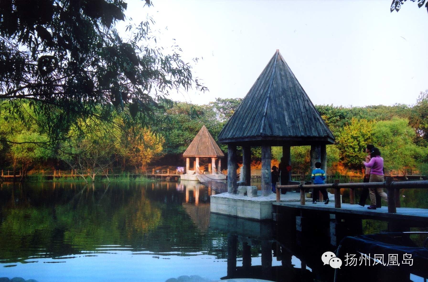 鸟瞰@扬州凤凰岛 ，湿地公园太美了……__财经头条
