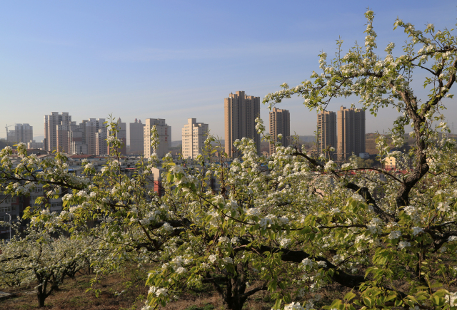 鞍山市超大人口城市_城市街景图片鞍山市