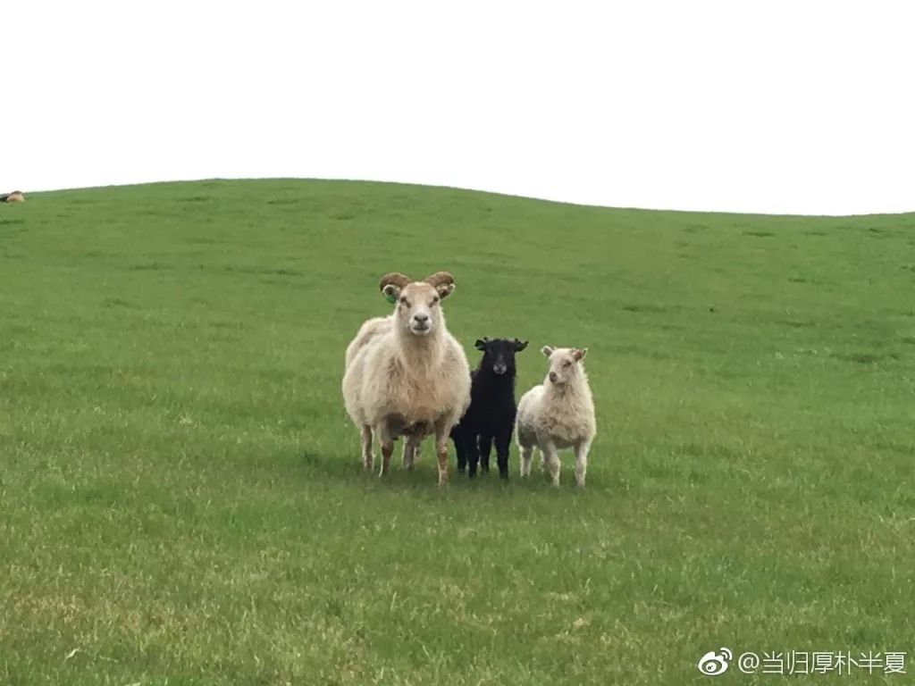 2017你拍过最美的旅行照片是哪张翻翻相册,来一场