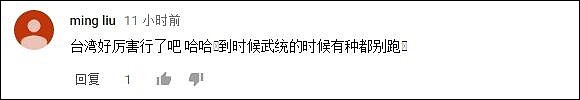 台湾政客狂言“一个台湾阿兵哥可以背炸药包炸烂一个大陆坦克”，还问中国政府怎么看 - 7
