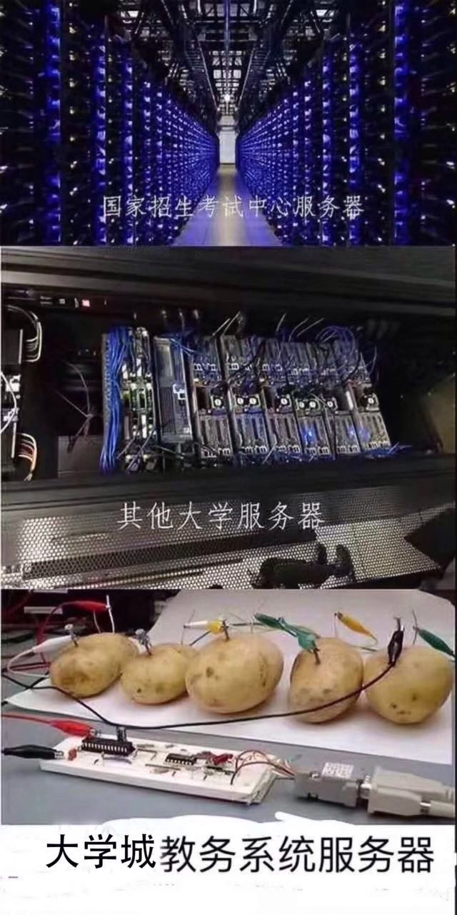 这锅不是我的 这是硬件的问题啊 我们都是用土豆来连服务器啊 走投无