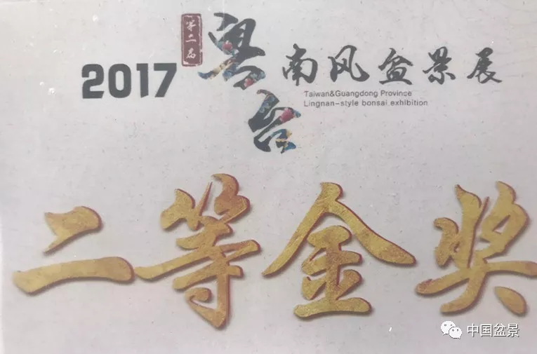 何汉杰藏品独舞云裳,红果,梁志安藏品黑松,何焯光藏品长相依,香楠