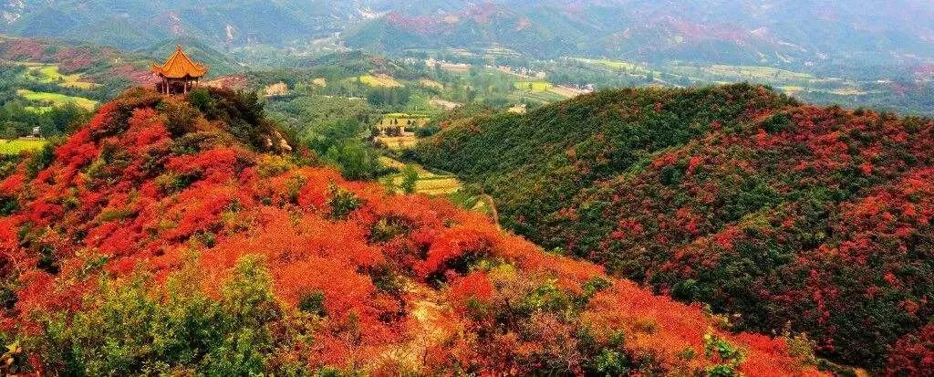 花果山国家森林公园