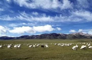 天峻县隶属于青海省海西蒙古族藏族自治州, 位于高原腹地,是海西州