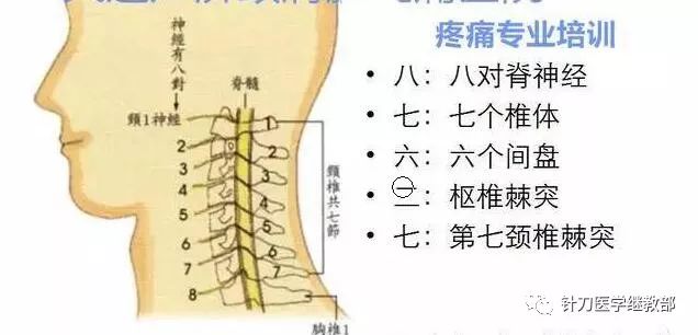 惊爆--大家常说的颈椎病仅仅是神经根型颈椎病