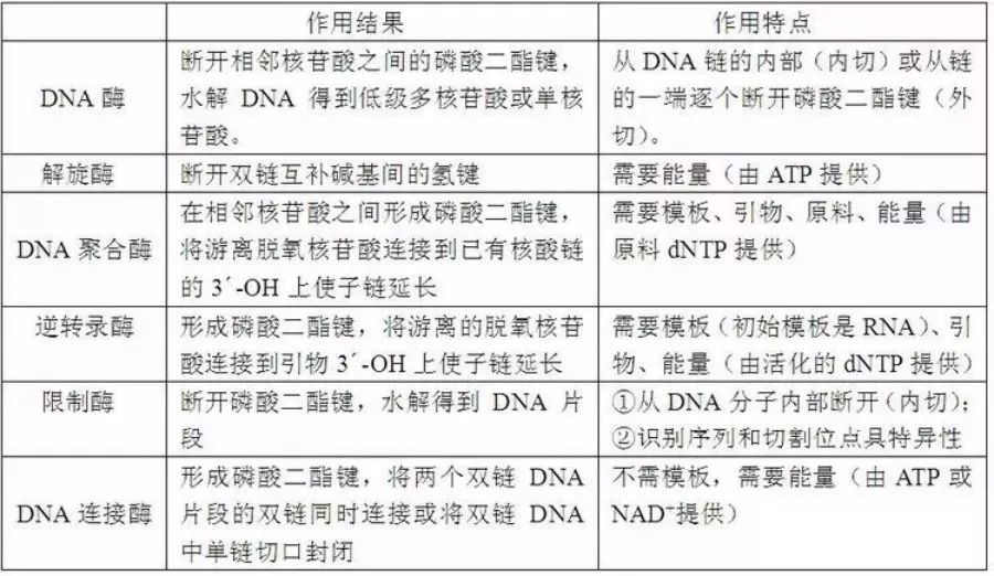教师必看丨生物教学中该怎么讲解与dna有关的6类酶