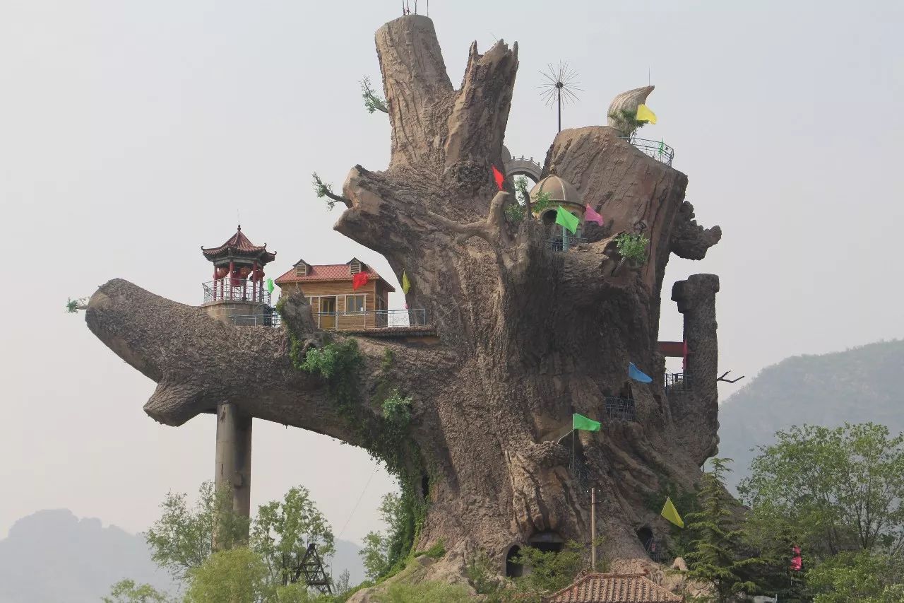 河北邯郸【九龙槐景区】旅游景点