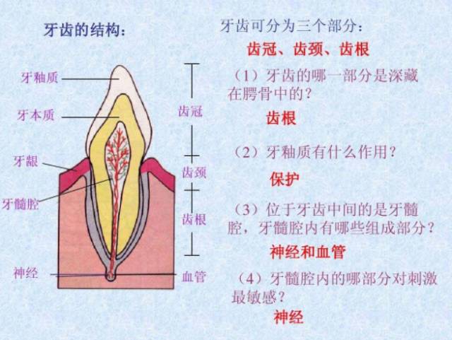 12.28百会口腔,趁早发现这些黑点,你还能拯救你的牙!