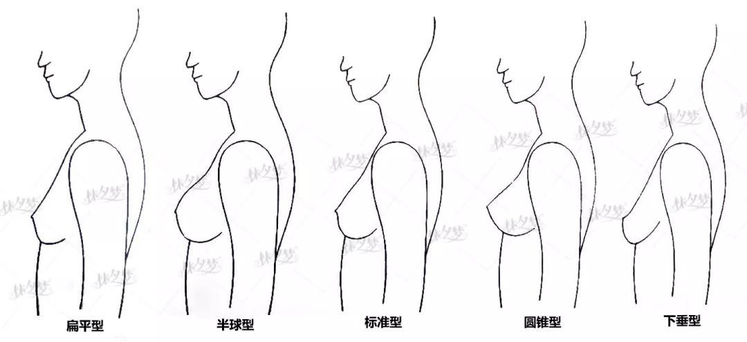 涨姿势|如何选择适合自己乳房形态的文胸?