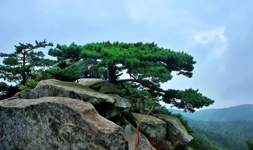 奇松,怪石,云海,温泉,湖北版的小黄山居然在黄冈!怎么