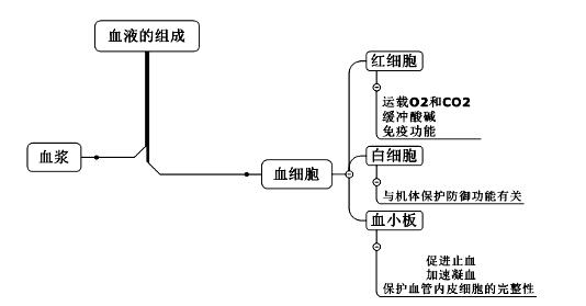 体育教师资格笔试运动生理学—血液深层知识点