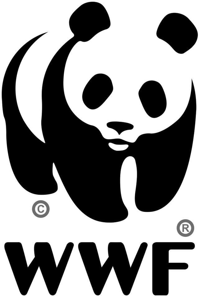 为什么保护大熊猫
