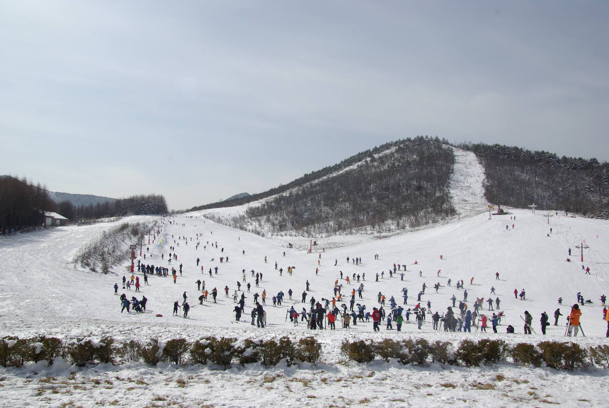 神农架滑雪场(湖北)