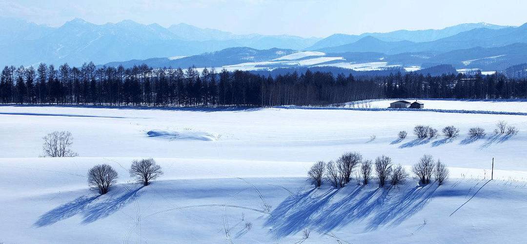 新品 这一口绵密的乳酪蛋糕,好吃到令你想起北海道の初雪