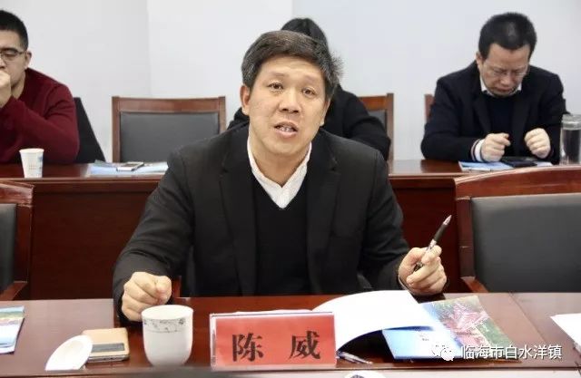 陈威书记汇报我镇上阶段小城镇环境综合整治情况