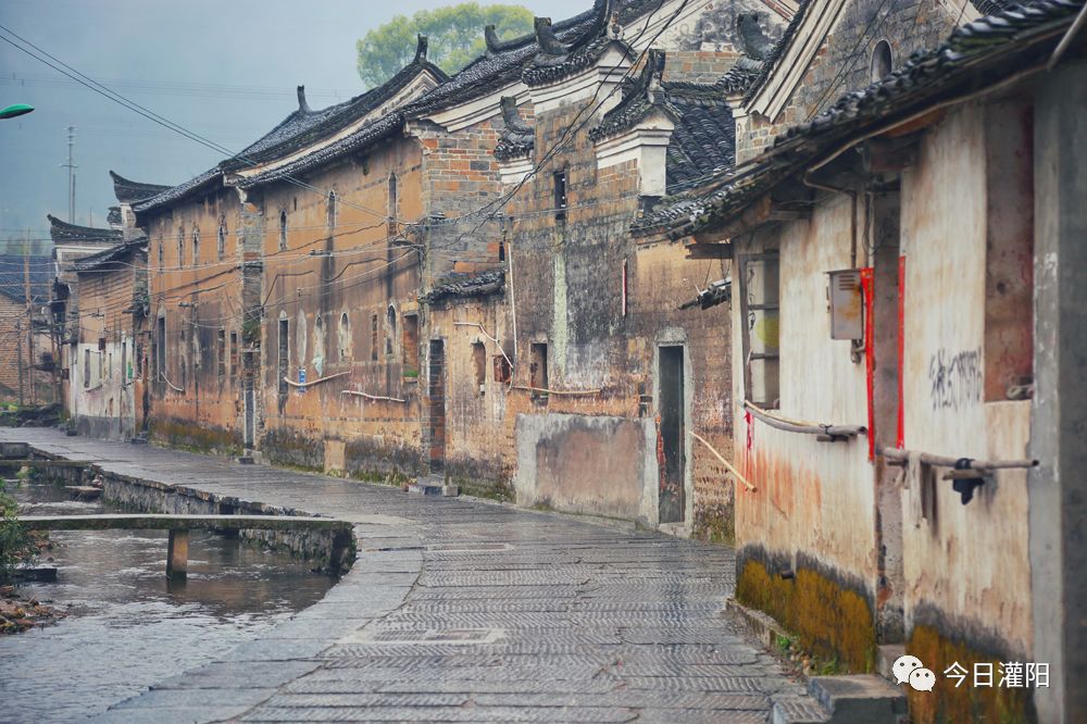 灌阳镇人口_灌阳镇彰泰小学周丽娟