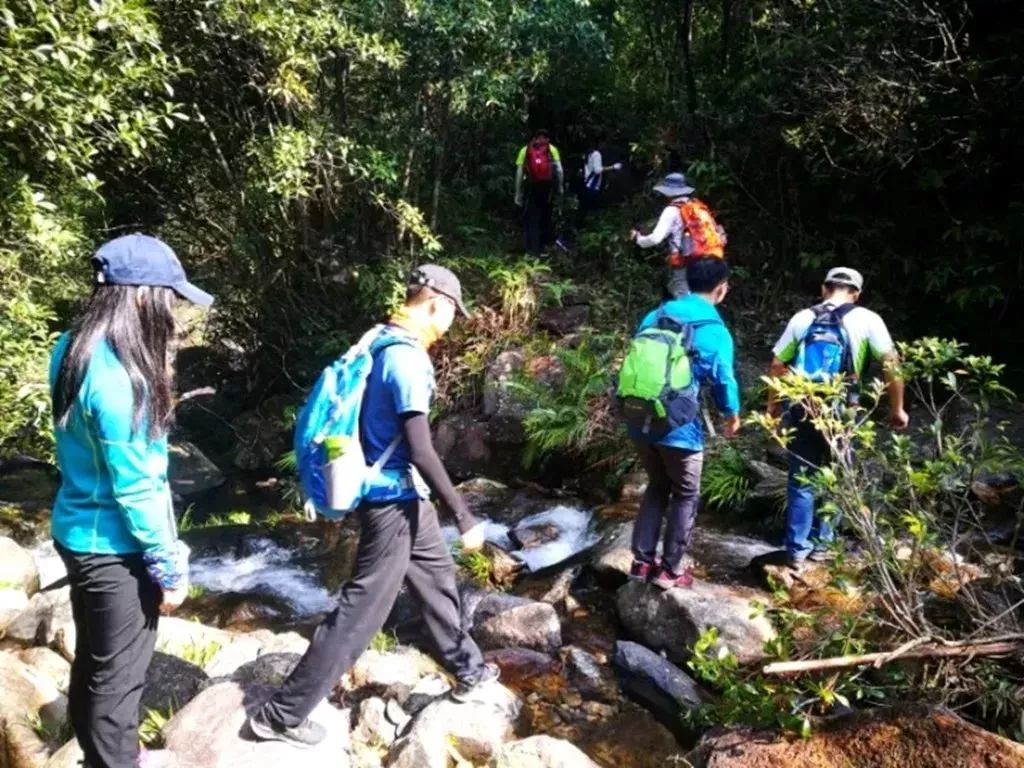 莲花山虽然比深圳的梧桐山高得多,然而登山之路却平缓易走,无陡坡与险