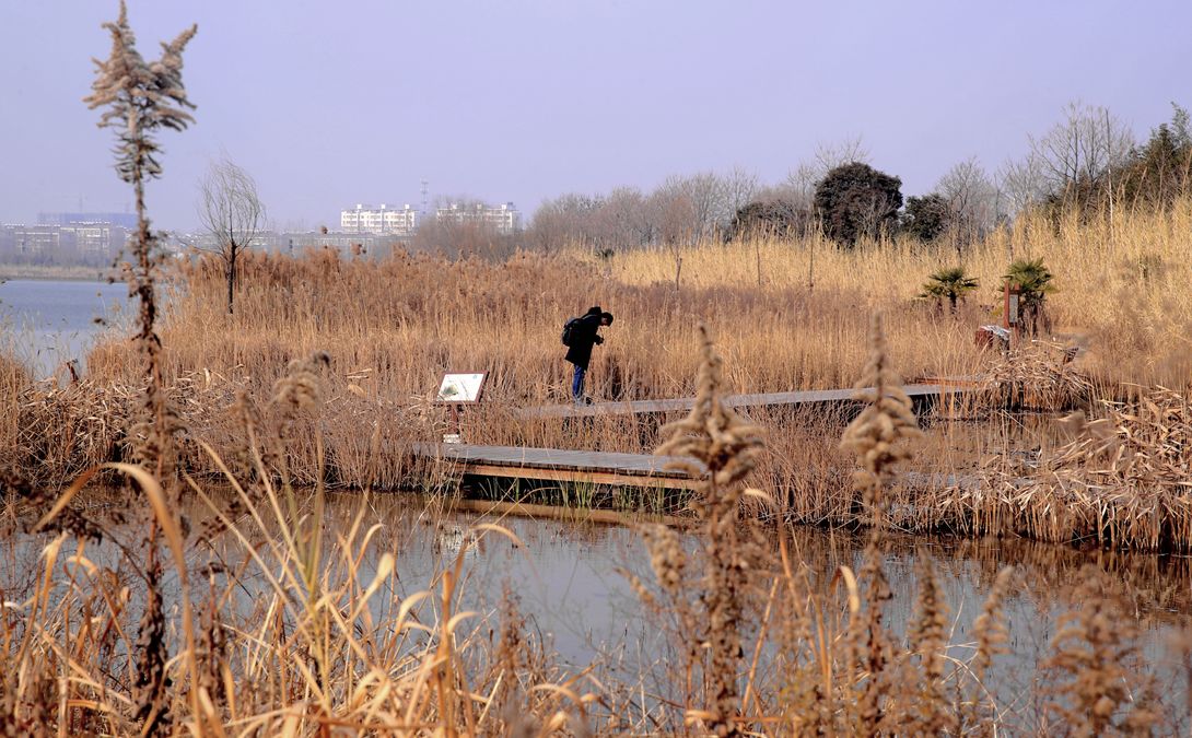 徐州九里湖获批国家湿地公园,你想去看看吗?