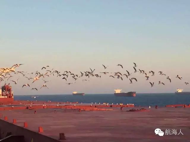【航海人出品】旅程 · 随拍 | 鸟：嘿，有船来了！