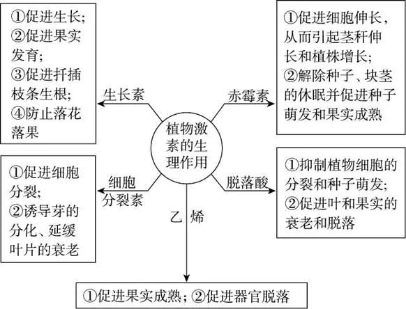 高中生物知识总结!植物激素调节知识汇总