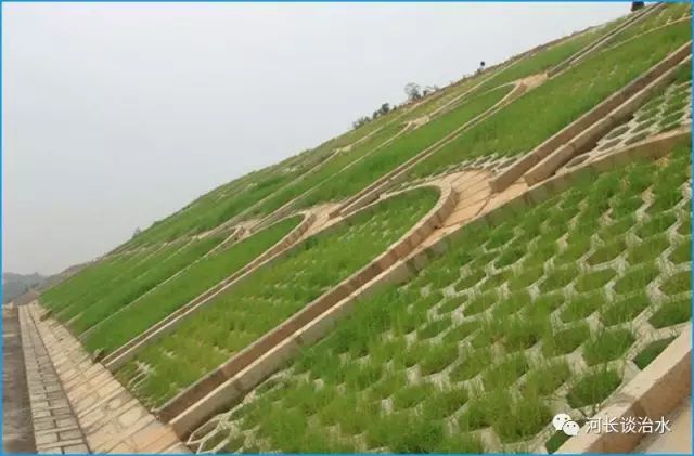 c.土工格栅固土种植基护坡