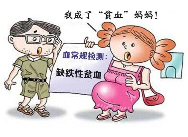 孕妇缺铁危害胎儿,孕妇吃什么补血效果最好