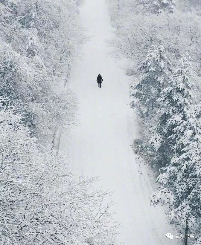 峨眉山雪中人独行,总是宁静中多那么几分禅意.