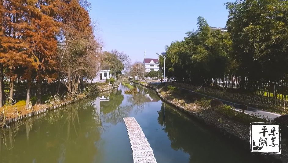 平湖好风景理想中的美丽乡村就该是这样这里是林埭都家浜