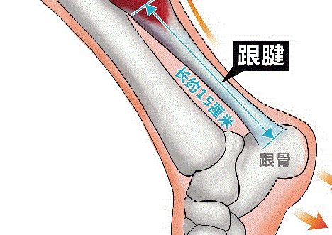 领先世界亚洲蹲随时随地就健身