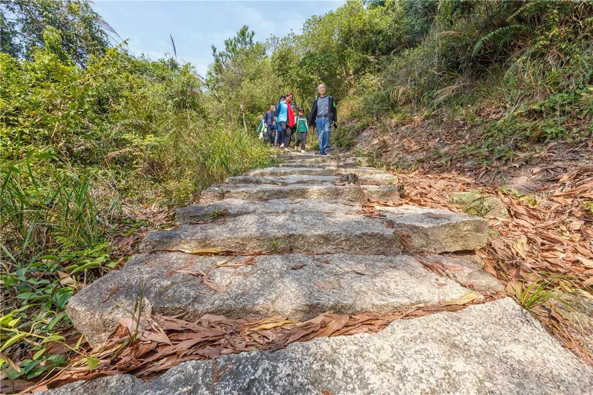 大美风光岐澳古道邀您来观赏