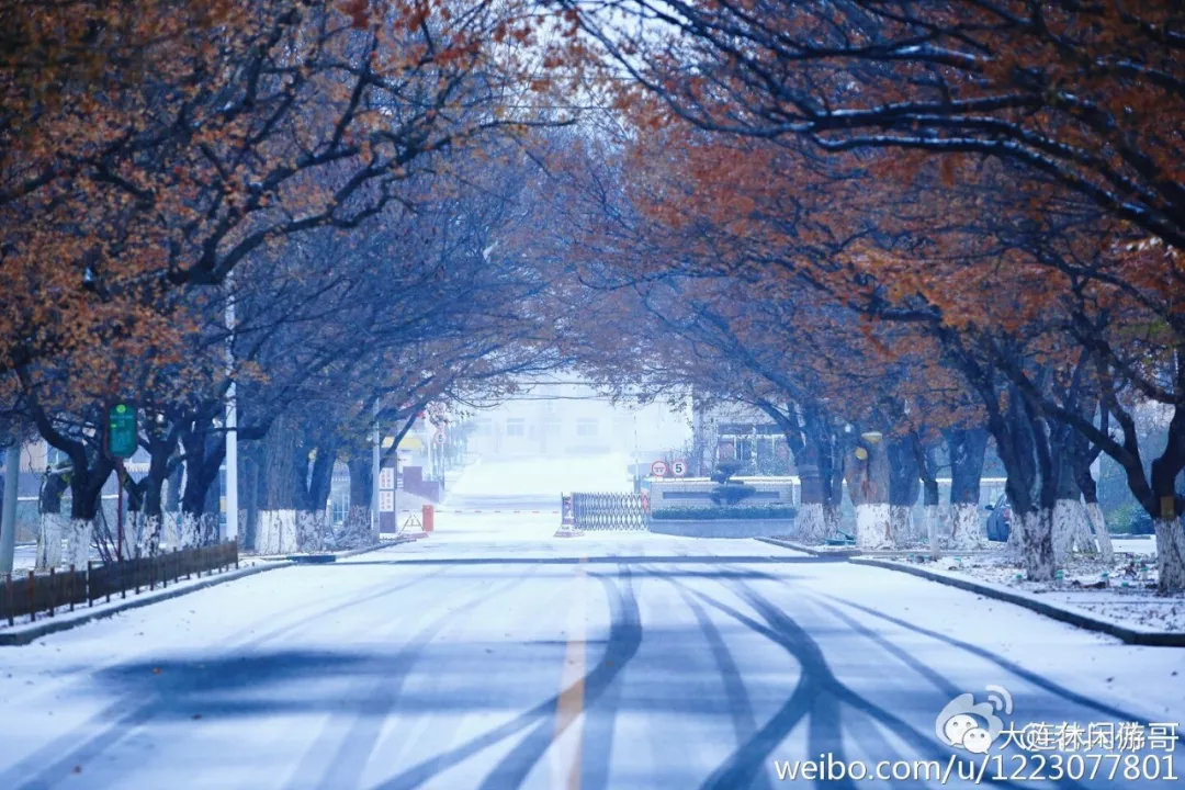 雪大连