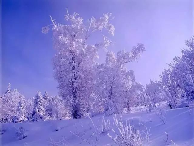 纷飞白雪,这些都是你不可错过的美景