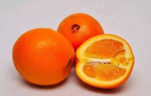 橙子怎么看公母