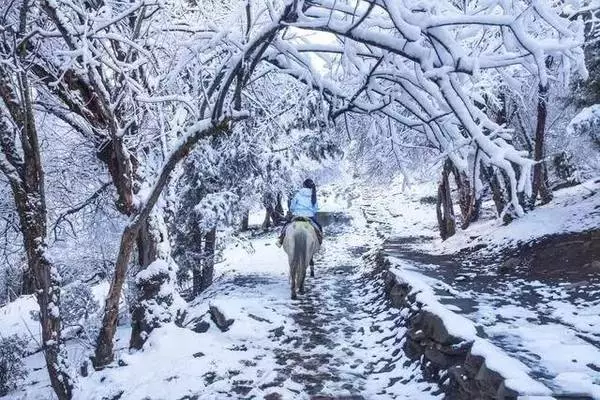 雪怎么读