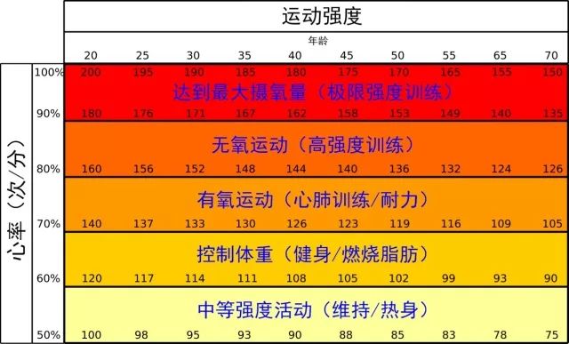 不用心率表,教你一秒钟知道自己的心率